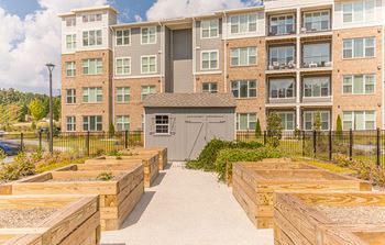 Dominium-Preserve at Peachtree Shoals-Community Garden